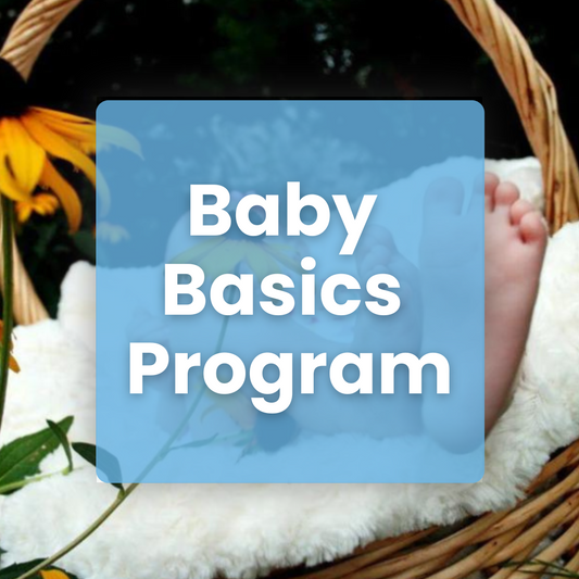 Baby Basics Program